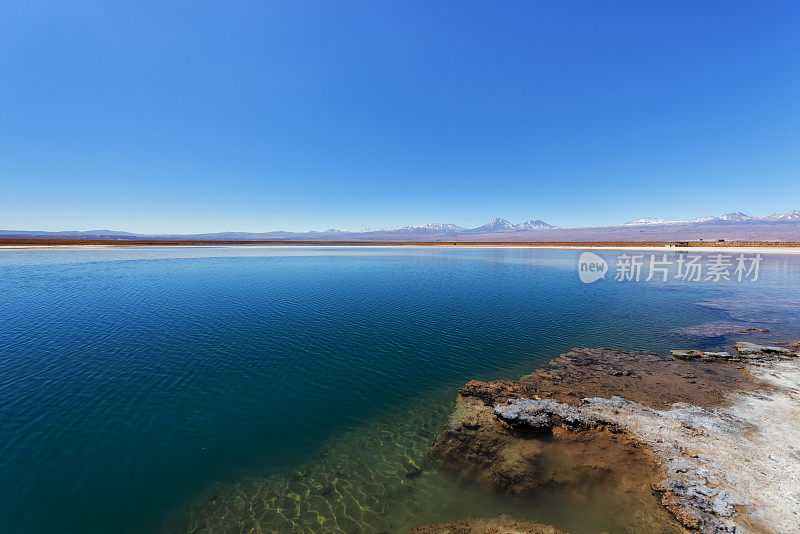 阿塔卡马沙漠-盐泻湖-火山景观-绿洲-野生动物保护区-塞贾尔泻湖