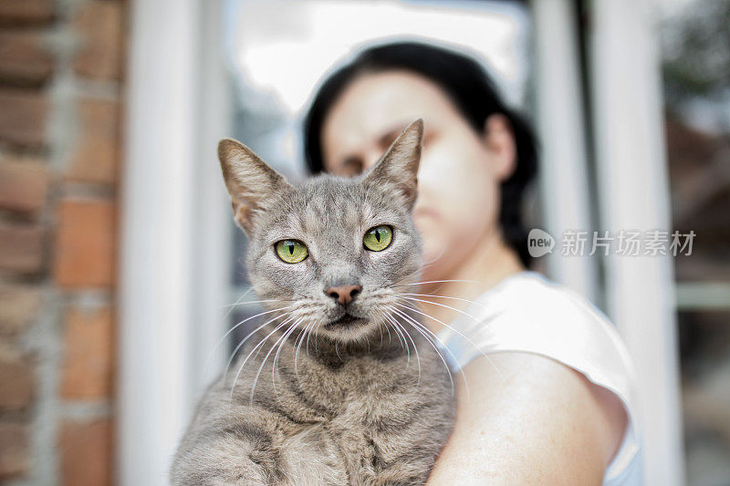 女人抱着她的猫