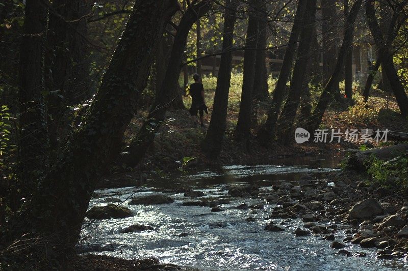 森林倒影在河水上