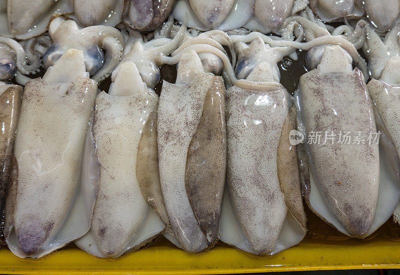 泰国昂西拉鱼市出售的新鲜海鲜、墨鱼(鱿鱼)。鱿鱼、墨鱼。