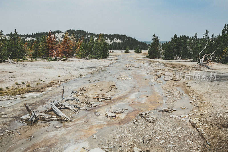 间歇泉水径流，诺里斯间歇泉盆地，黄石国家公园火山景观