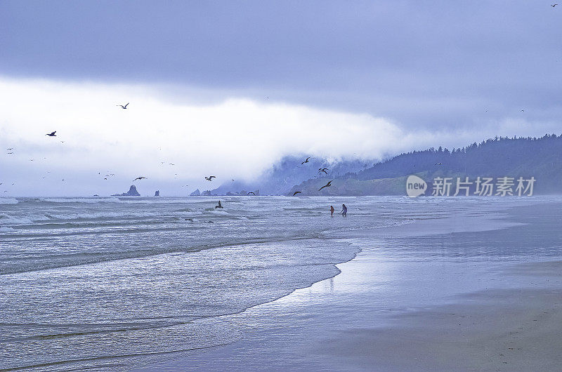 俄勒冈坎农海滩和附近的干斯塔克岩石