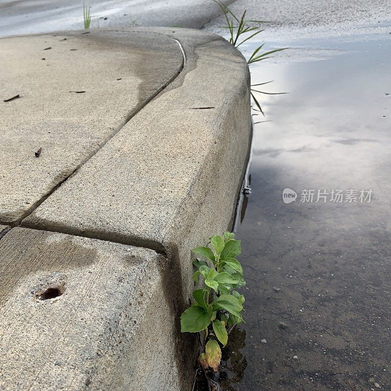 雨后城市的限制