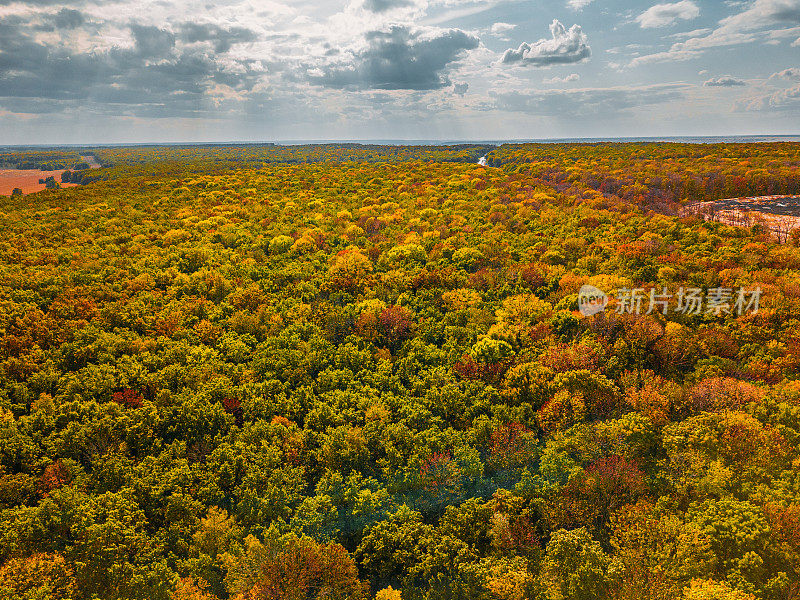 无人机拍摄的秋季森林上空的飞行