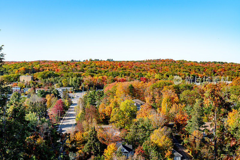 加拿大安大略省亨茨维尔的秋色。