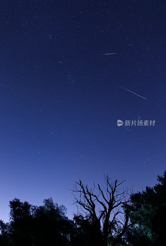 英仙座流星雨与前景的景色