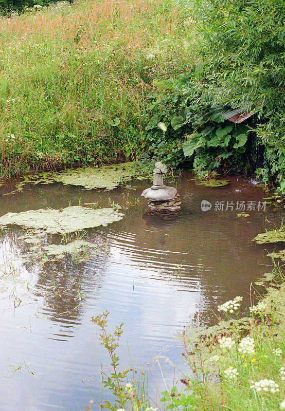 池塘用石块
