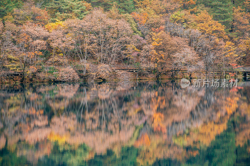 风景优美的木山和五花湖(九寨沟国家公园)，中国