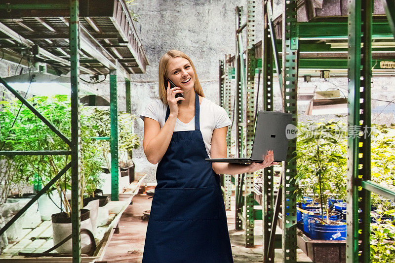 白人女性站在温室的农场里穿着衬衫拿着大麻用笔记本电脑