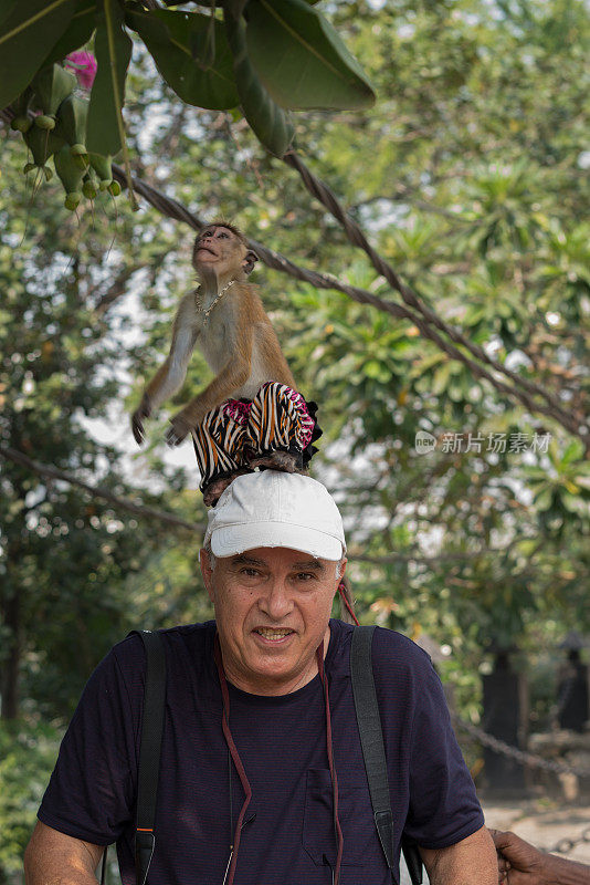 猴子爬在受惊游客的头上