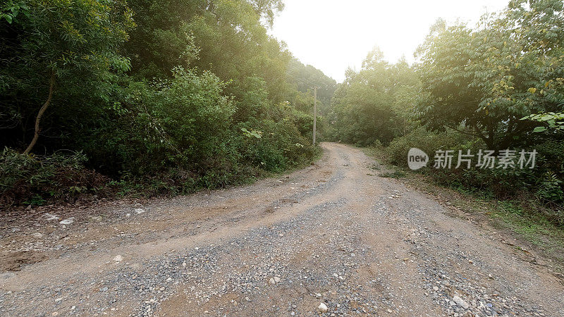 森林里泥泞的路