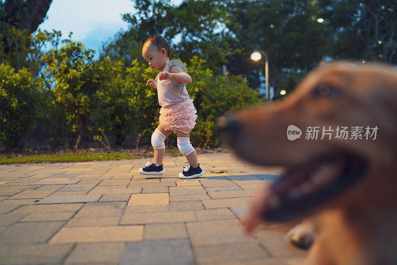 一个蹒跚学步的孩子和她的宠物狗在公园里做着小小的探索