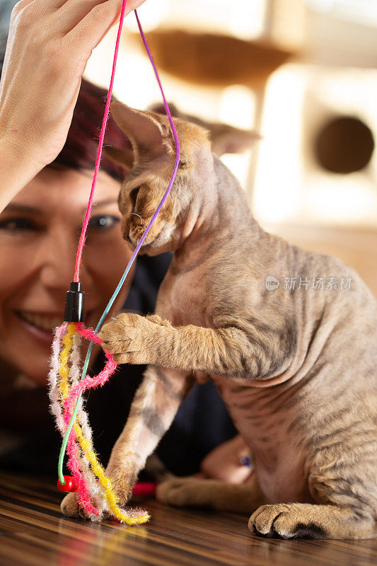 微笑的成年妇女宠物主人玩她的猫使用猫的玩具-库存照片