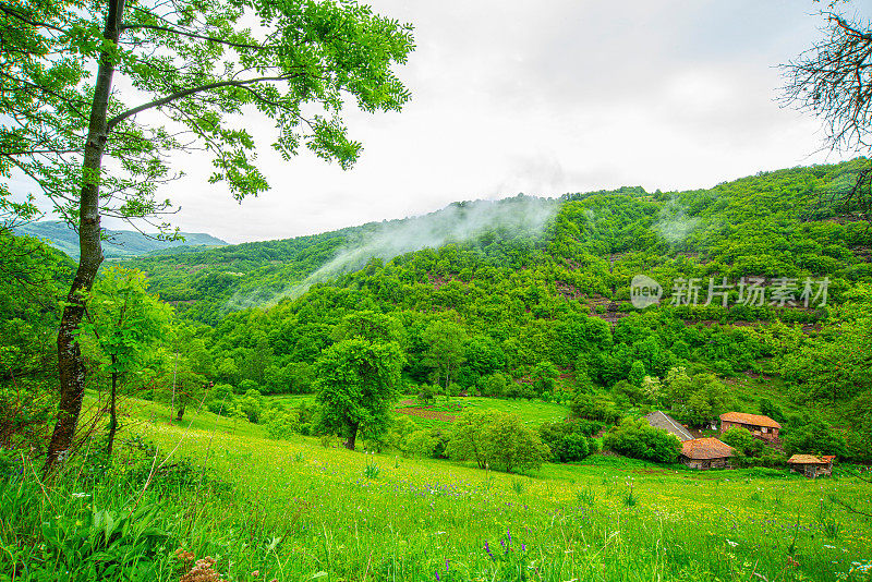 斯塔拉平原老山的绿草地