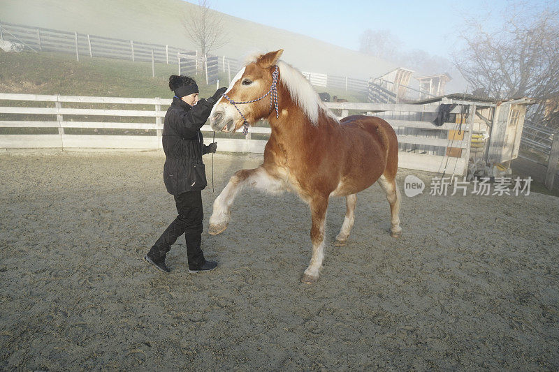 女盛装舞步教练教马新技巧