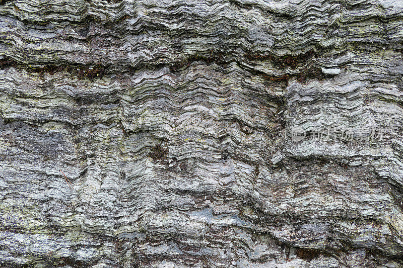 石榴石云母片岩的全框架视图。
