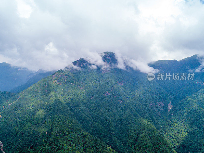 在华盛顿州奥林匹克国家公园的山脊上，雾气飘过树梢。