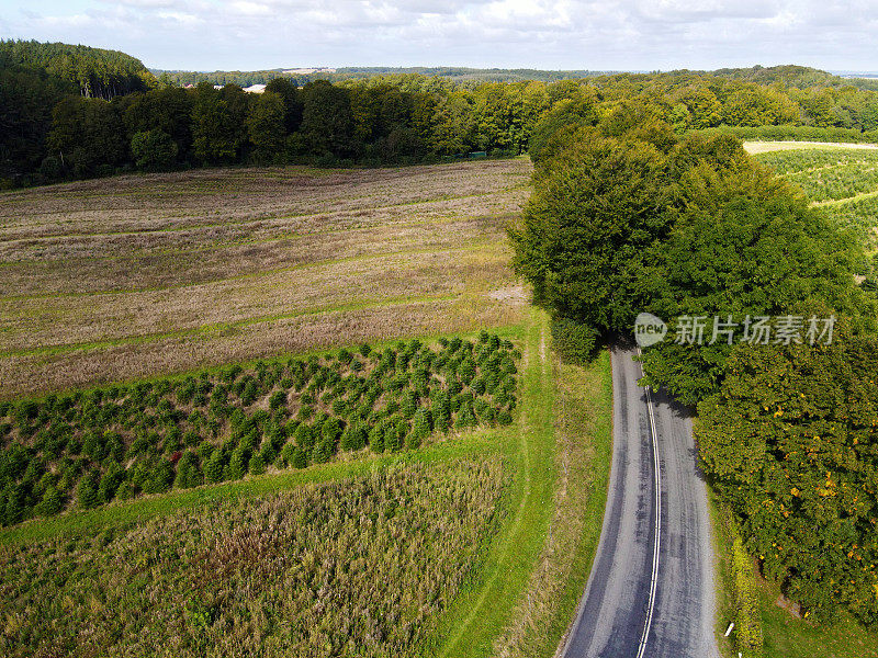 穿越景观的道路