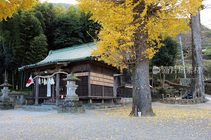 日本大分别府八坂神社内。