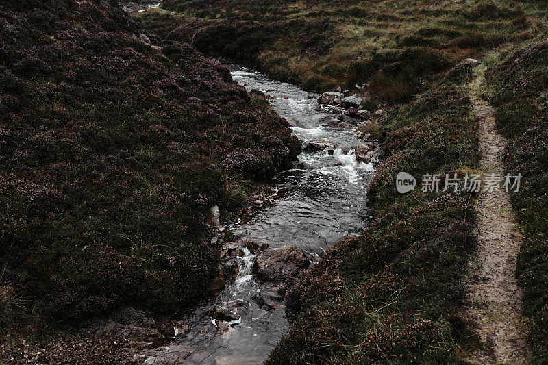 清澈的溪水在石南丛生的山丘间流淌