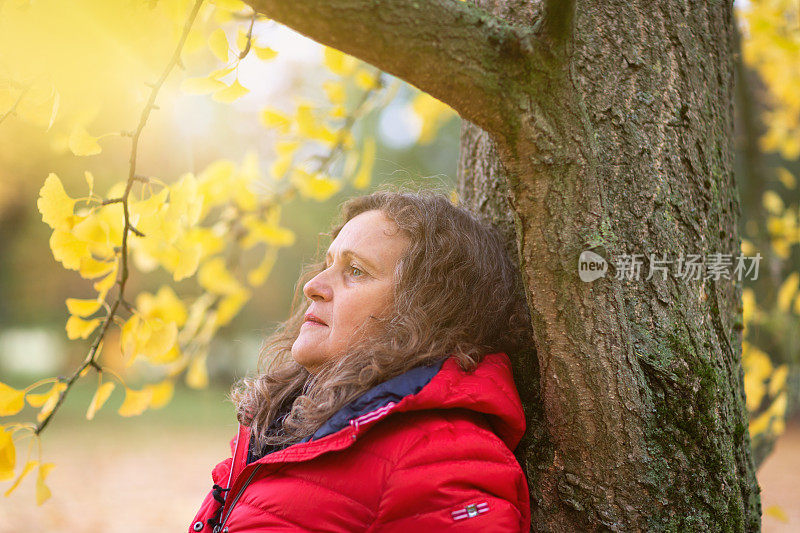 成熟的女人在户外秋天倚在银杏树