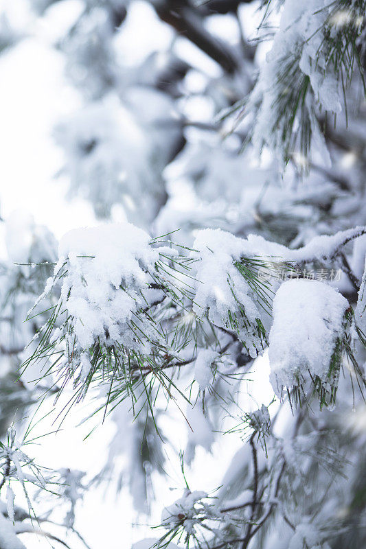 冬天下雪的背景