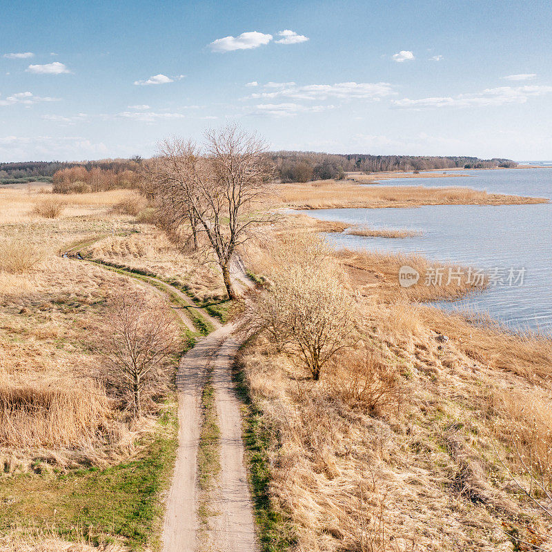 鸟瞰湖边的一条道路，沿着干涸的芦苇田。蓝色多云的天空是背景。