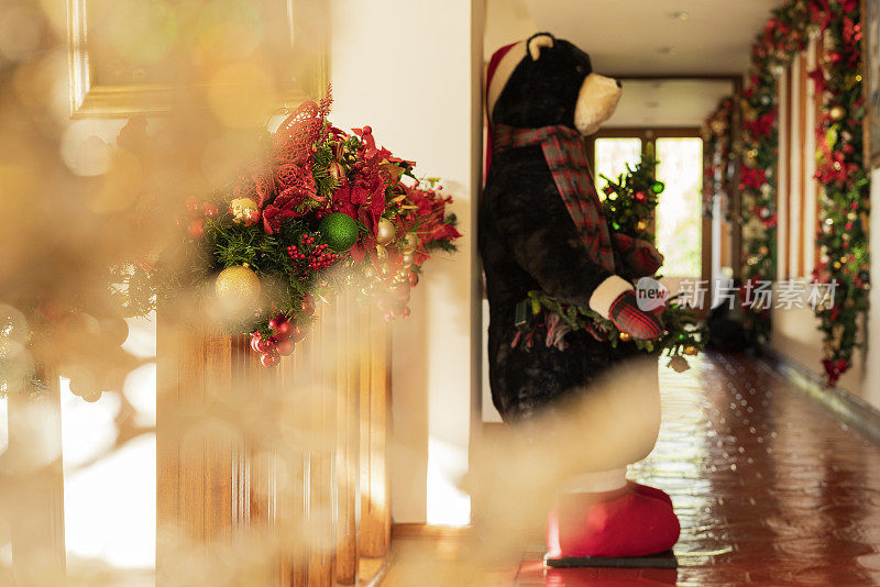圣诞节装饰的一个房子的客厅