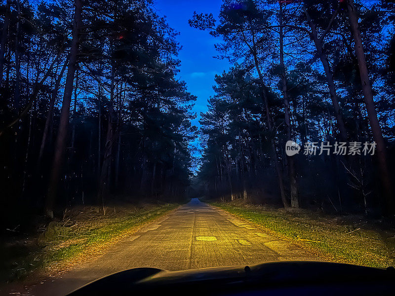 晚上开车穿过德国的森林。
