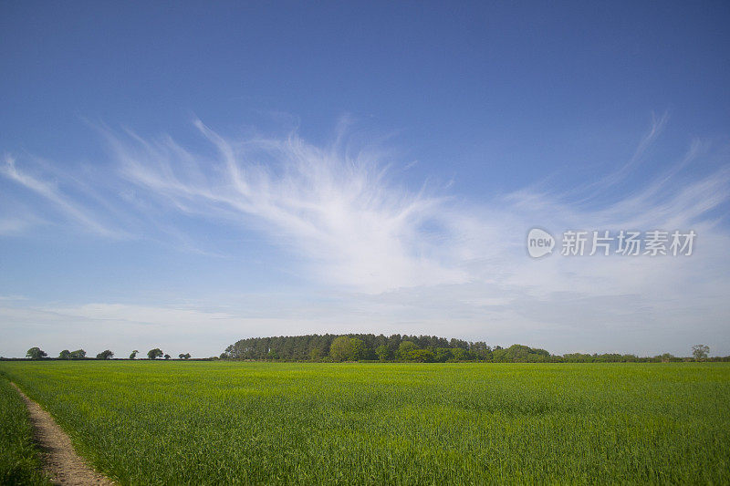 多塞特郡的风景