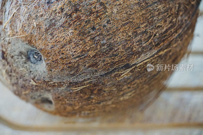 干椰子壳细节