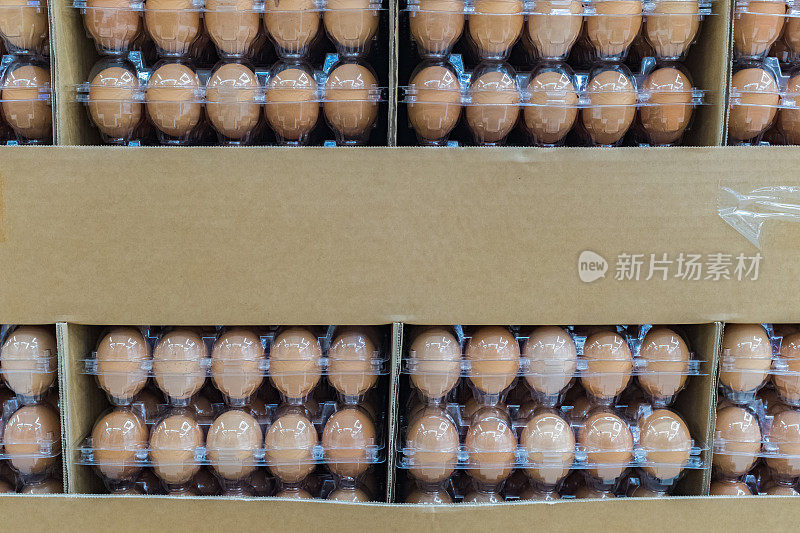 超市准备出售鸡蛋