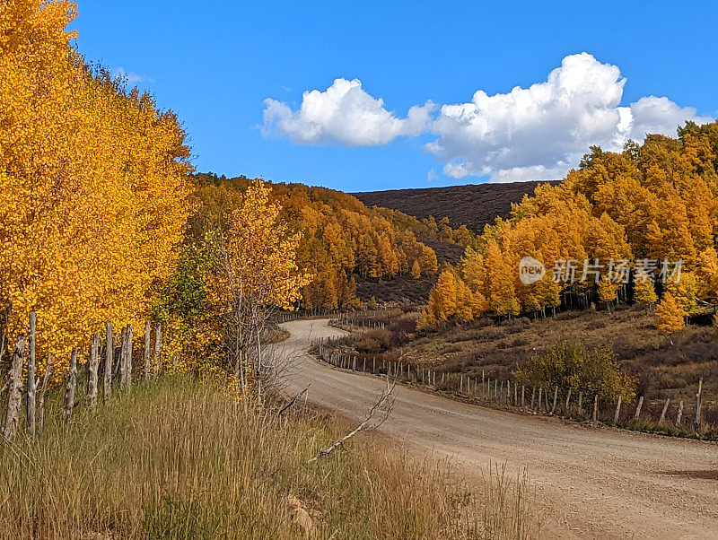 在犹他州南部的雪松山，秋天穿过金色白杨的乡村道路