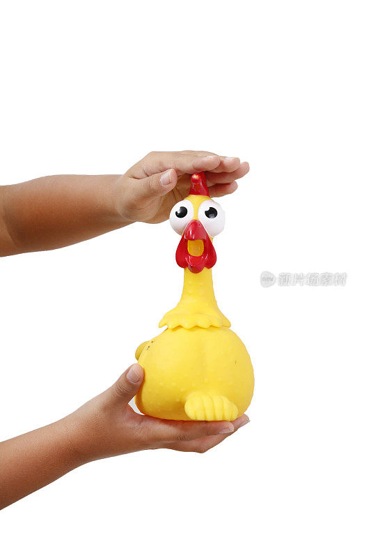 手握鸡玩具
