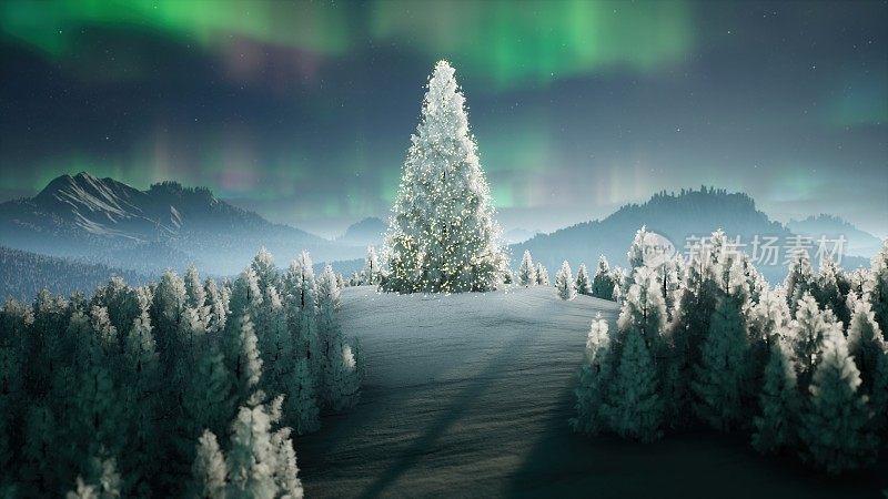 圣诞树在山上的冬季森林在北极光为圣诞卡设计