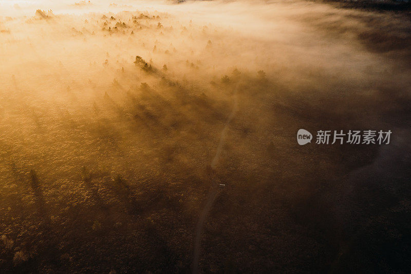 在挪威壮丽的湖泊和森林上的日出云的风景