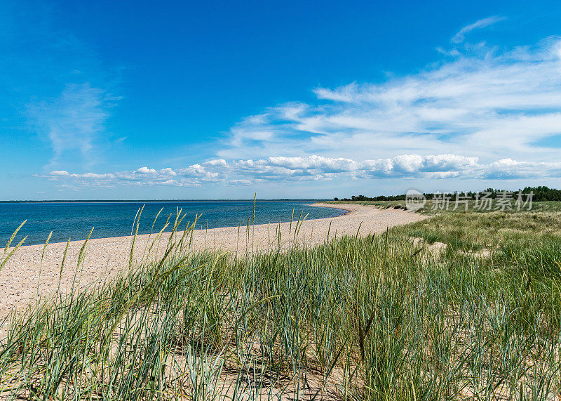传统的夏季景观，有沙和卵石的海角，蓝色的海和天空，哈里莱德自然保护区，爱沙尼亚，波罗的海