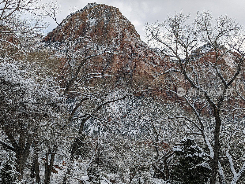 雪天在锡安国家公园下的犹他州西神庙和圣母峰附近的人类历史博物馆