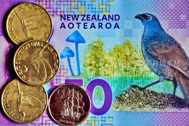 新西兰元钞票和硬币上的蓝垂翅乌鸦鸟