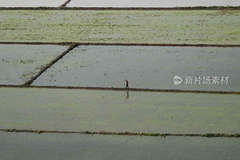 从上方俯瞰Çorum地区Osmancık水田的灌溉景观。