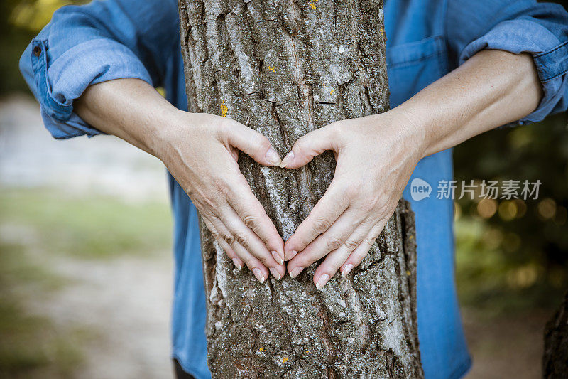 手放在树上的心形图案