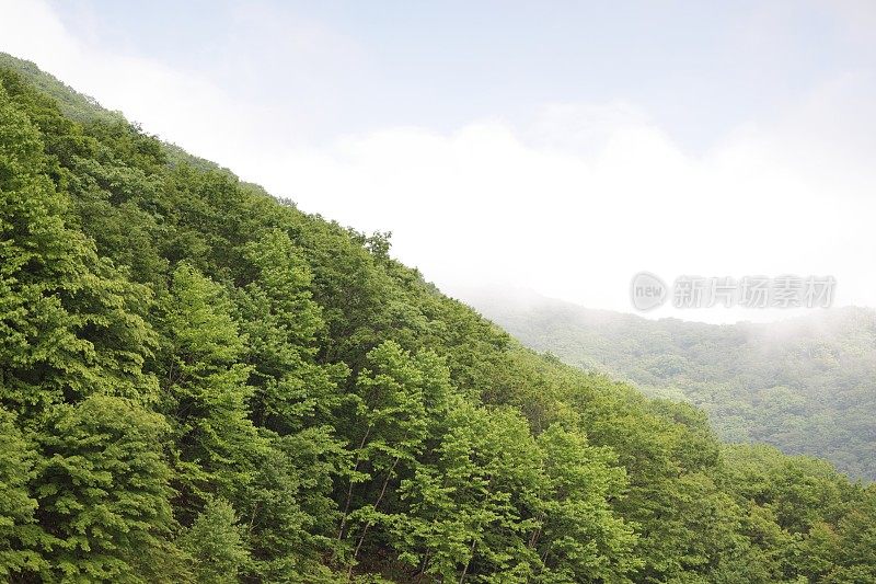 日本信别的火山景观