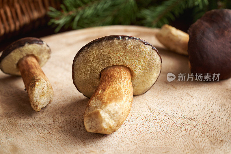 桌上的松茸——野生食用菌