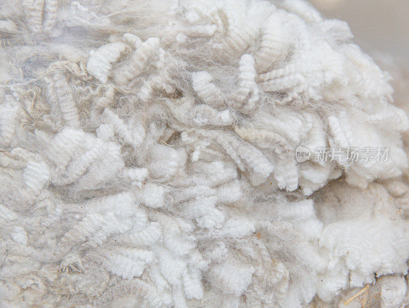 华卡雅羊驼羊毛，柔软卷曲的质地