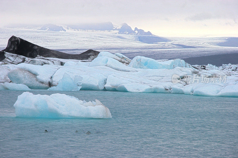 冰填满了位于Jökulsárlón冰岛巨大冰川底部的泻湖