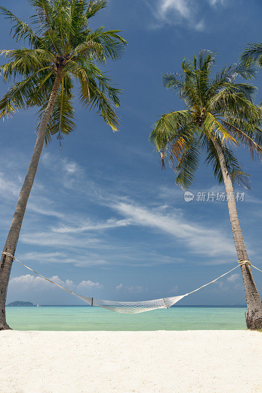 在棕榈树下的吊床，热带梦想海滩，假日度假背景