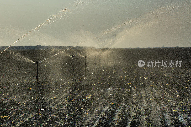 一个洒水器浇