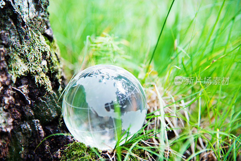 位于苔藓上的水晶世界球体