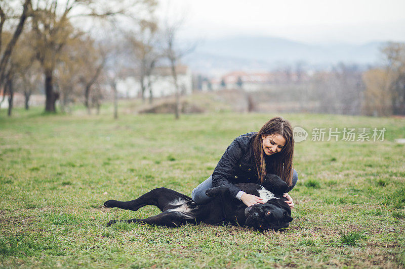 女人和新罗马獒犬在玩