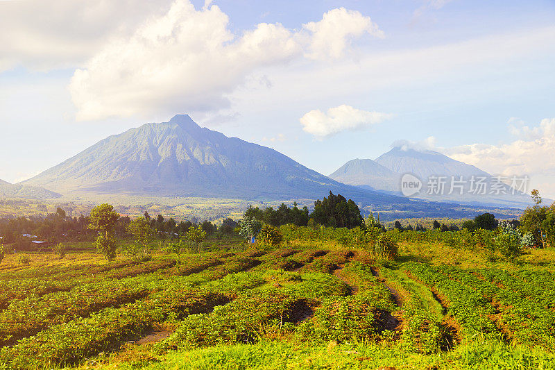 卢旺达的维龙加山脉和火山